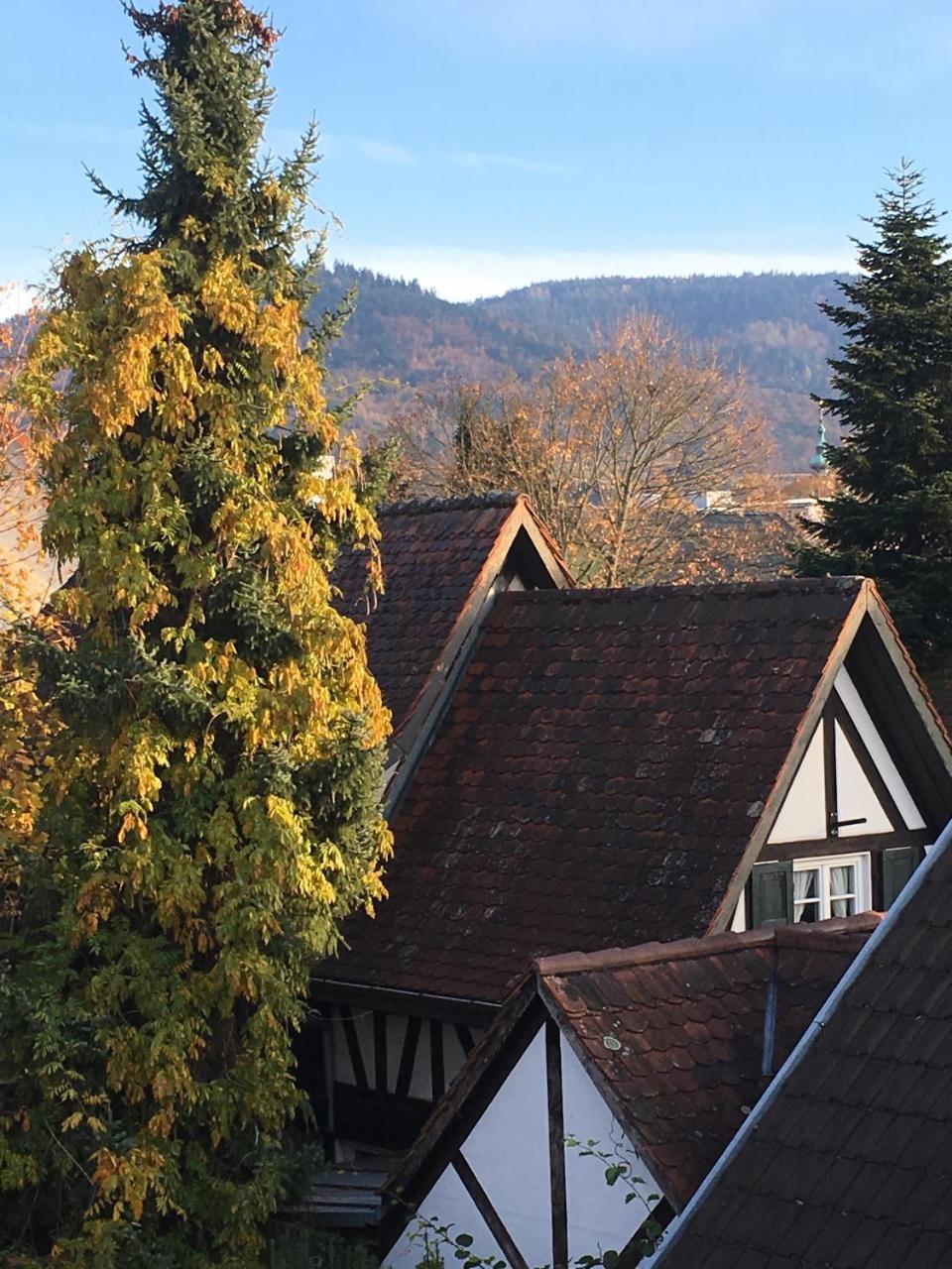 Die Gruene Bettlad Boutique-Hotel Bühl Εξωτερικό φωτογραφία
